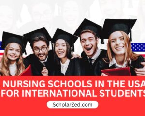 nursing schools in usa for international students
