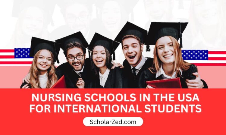 nursing schools in usa for international students