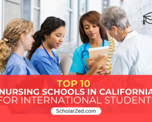 nursing schools in california for international students