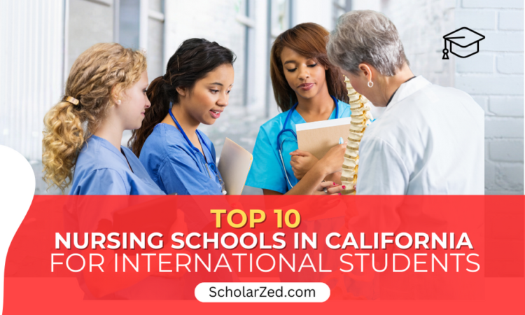 nursing schools in california for international students