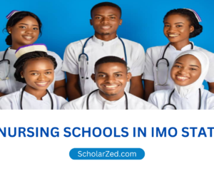 nursing schools in imo state