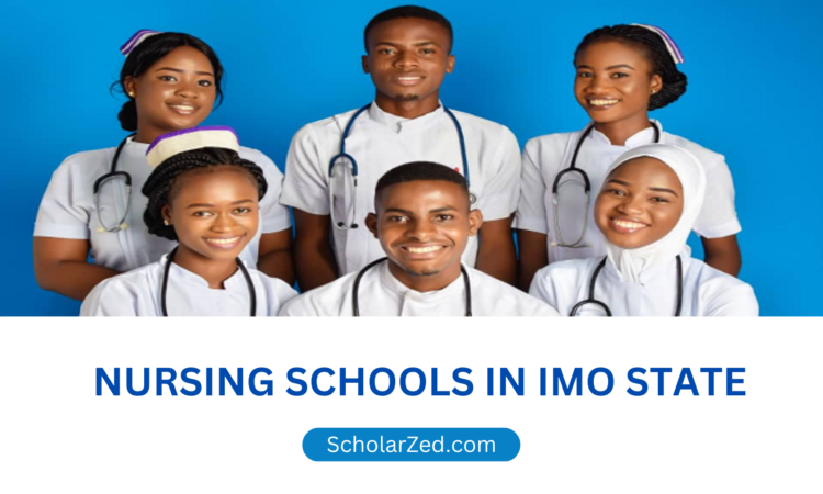 nursing schools in imo state