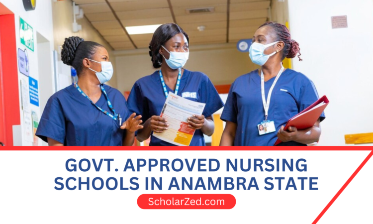 nursing schools in Anambra State