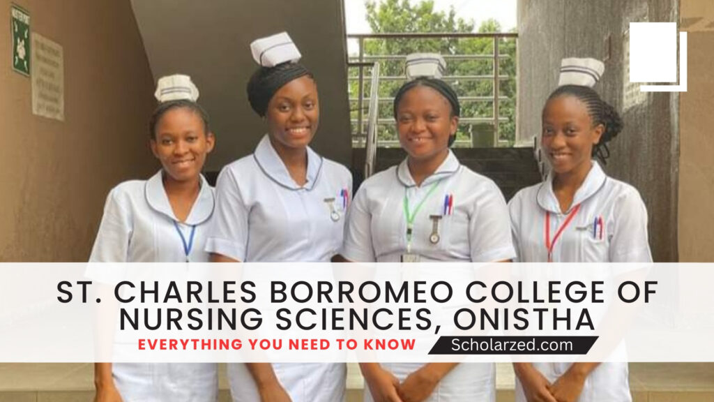 st charles borromeo college of nursing sciences onitsha