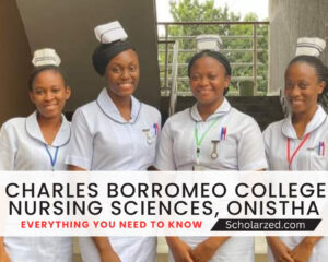 st charles borromeo college of nursing sciences onitsha