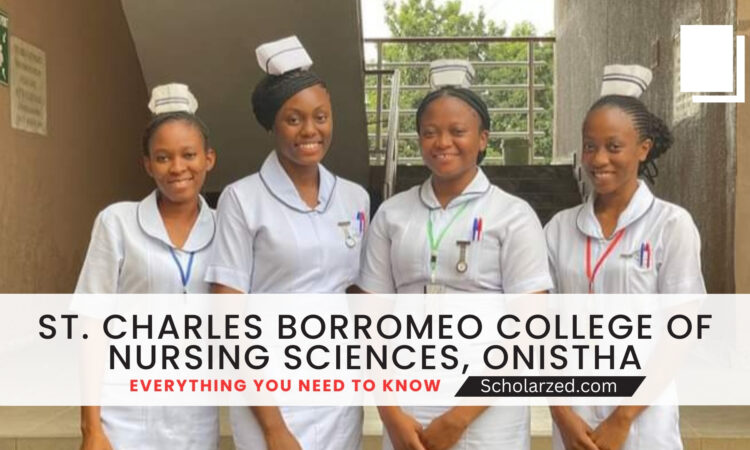 st charles borromeo college of nursing sciences onitsha