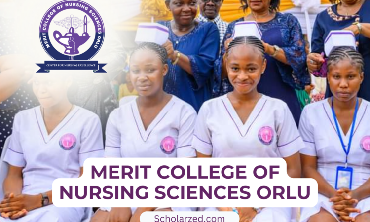 merit college of nusring sciences orlu