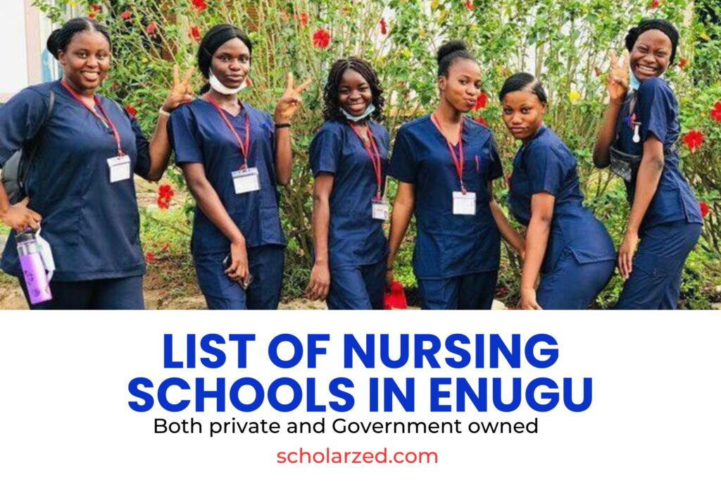 nursing schools in enugu