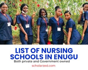 nursing schools in enugu