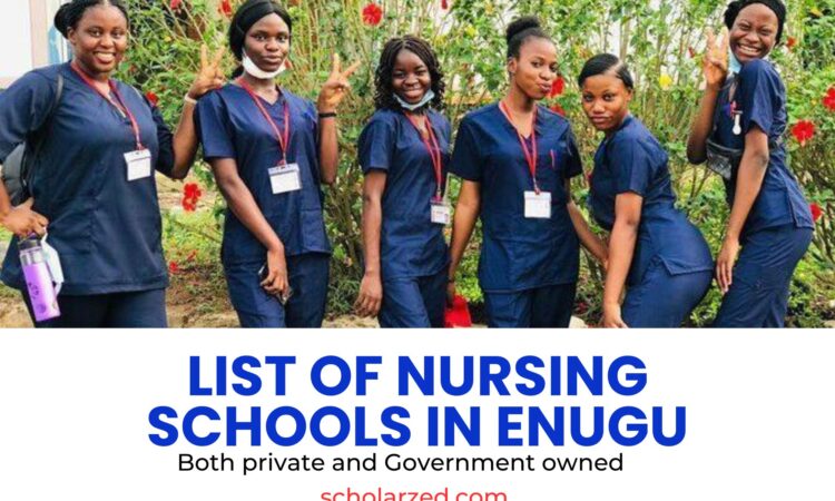 nursing schools in enugu