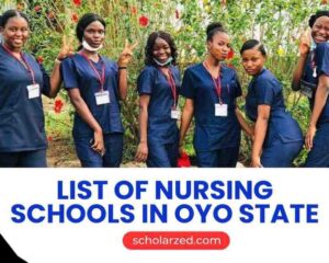 list of nursing schools in oyo state