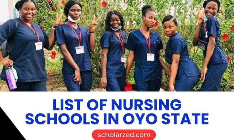 list of nursing schools in oyo state