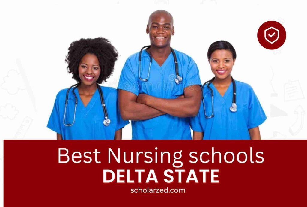 nursing schools in delta state