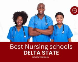 nursing schools in delta state