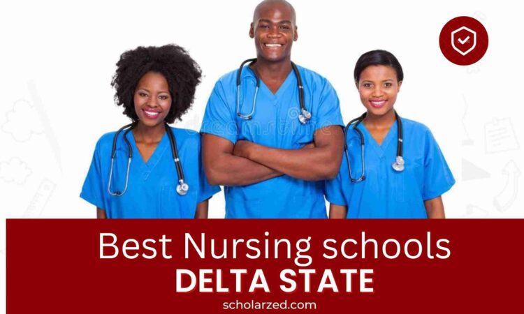 nursing schools in delta state