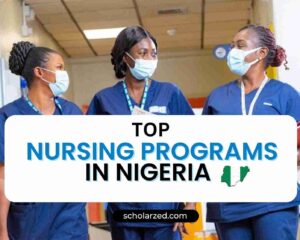 Nursing Programs in Nigeria