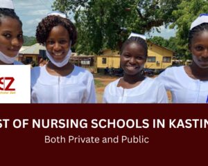 Nursing schools in kastina