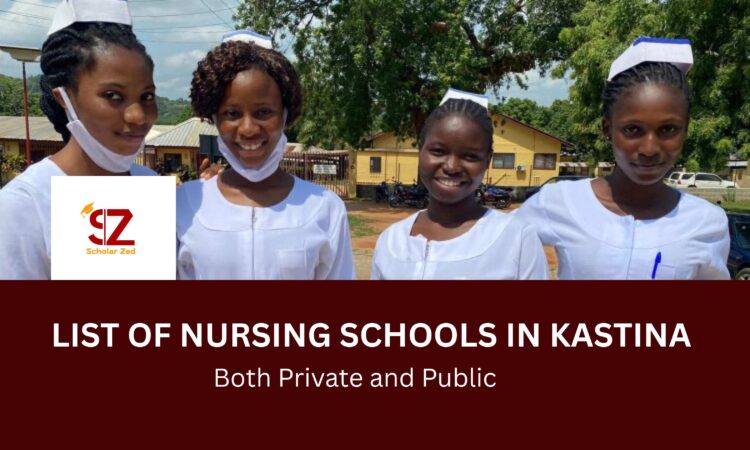 Nursing schools in kastina