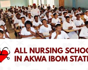 nursing schools in akwa ibom state