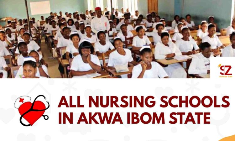 nursing schools in akwa ibom state