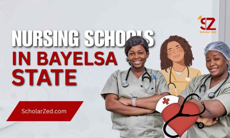 nursing schools in bayelsa state